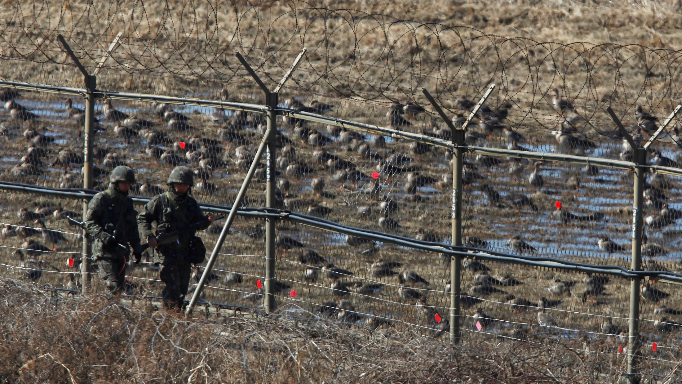 11.000 nordkoreanische Soldaten in Kursk stationiert