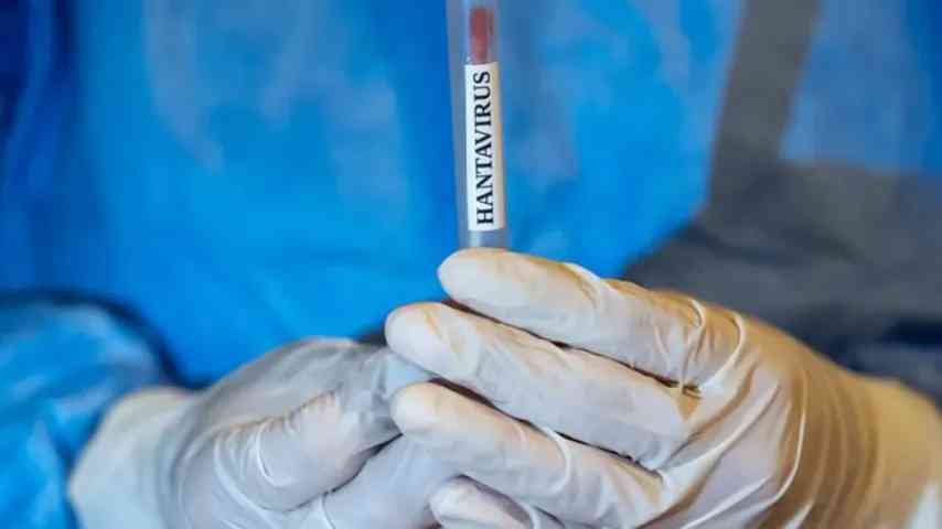 Frankreich bestätigt ersten Hantavirus-Fall
