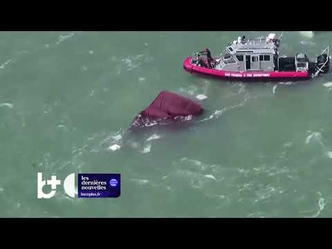 Bateau chavire avec 19 personnes à bord / Un mort et deux disparus à San Francisco