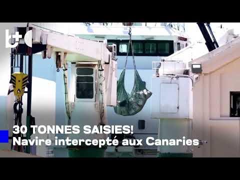 Saisie record en Europe : l'Espagne confisque 30 tonnes de cocaïne