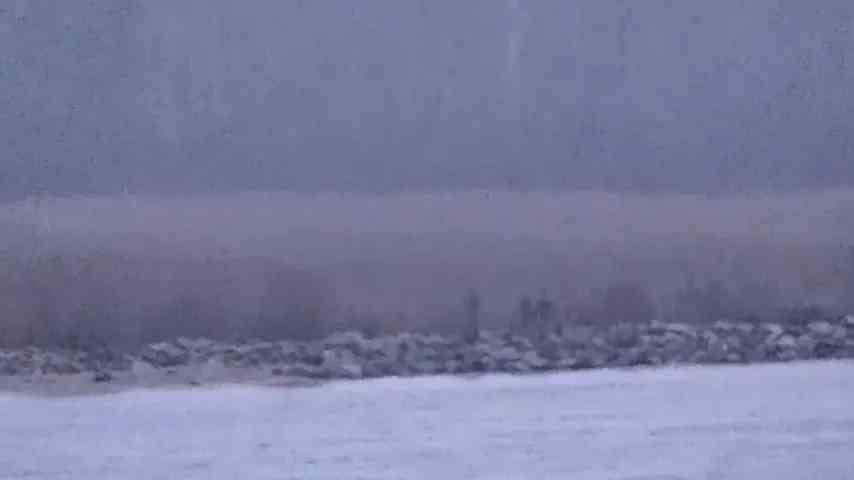 Russische Grenzbeamte überquerten Estland aus ungeklärten Motiven; Aufnahmen veröffentlicht