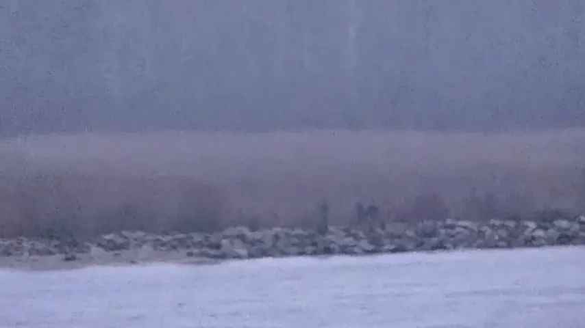 Russische Grenzbeamte überquerten Estland aus ungeklärten Motiven; Aufnahmen veröffentlicht