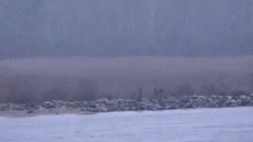 Russische Grenzbeamte überquerten Estland aus ungeklärten Motiven; Aufnahmen veröffentlicht